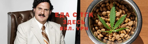 амф Верхний Тагил