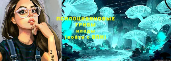 амф Верхний Тагил