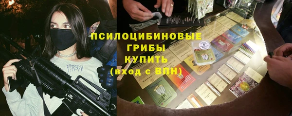 дмт Шадринск