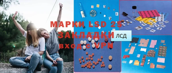 амф Верхний Тагил