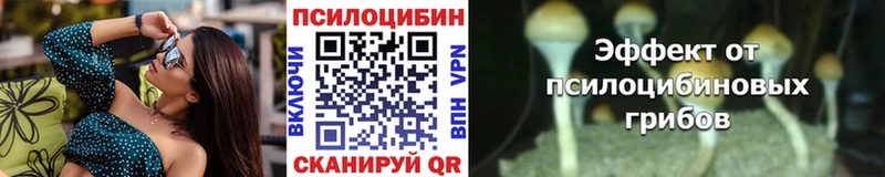 Галлюциногенные грибы ЛСД  площадка клад  Нахабино  цены   OMG tor 